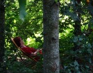 A l’ombre des mots – Lectures dans les jardins
